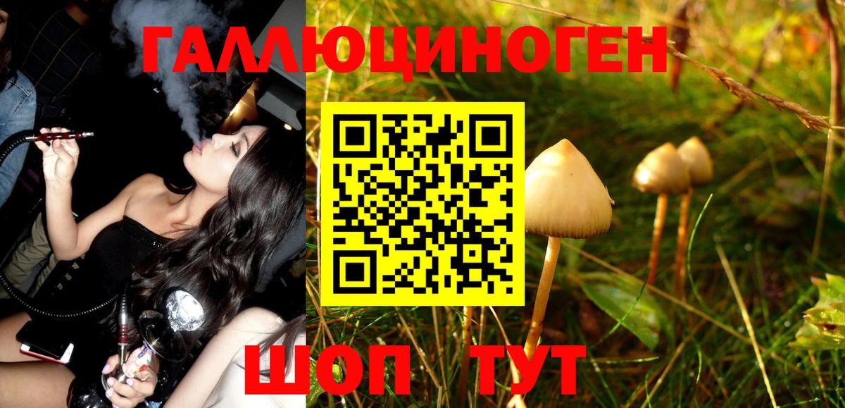 Псилоцибиновые грибы MAGIC MUSHROOMS Протвино